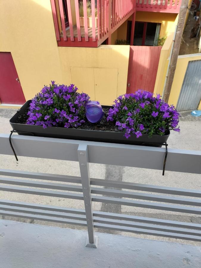 The Violet House Villa Costa Nova Luaran gambar