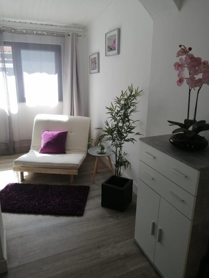 The Violet House Villa Costa Nova Luaran gambar