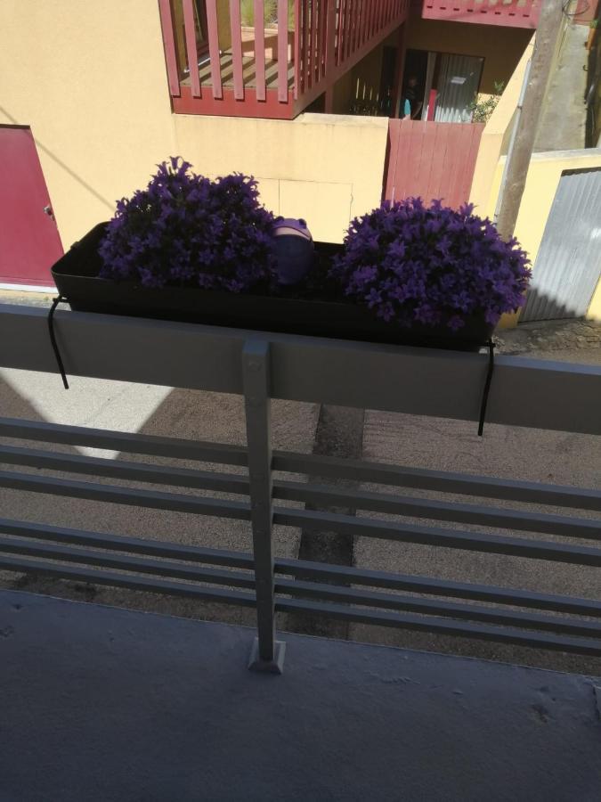The Violet House Villa Costa Nova Luaran gambar